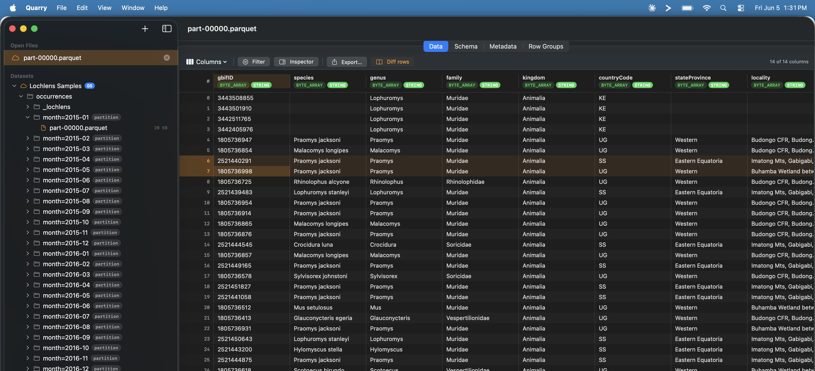 Quarry showing a partitioned GCS dataset with schema and type badges